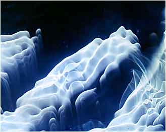 Lucelle 20040701