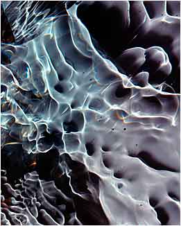 Lucelle 22090501