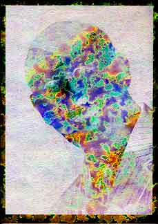 Springrain 01